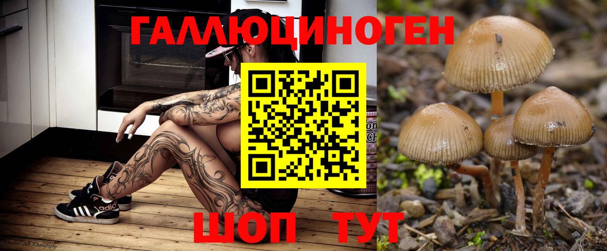 Муравленко  Галлюциногенные грибы мицелий  Вход с VPN 